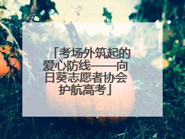 考场外筑起的爱心防线——向日葵志愿者协会护航高考