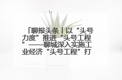 聊报头条丨以“头号力度”推进“头号工程”——聊城深入实施工业经济“头号工程”打造经济发展强引擎