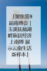 聚焦第9届南博会｜玉溪抚仙湖畔旅居经济上南博 展示云南生活新样本