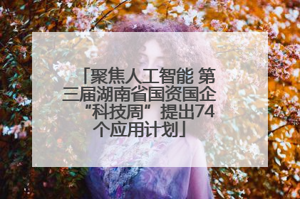 聚焦人工智能 第三届湖南省国资国企“科技周”提出74个应用计划