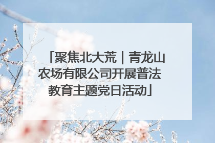 聚焦北大荒｜青龙山农场有限公司开展普法教育主题党日活动