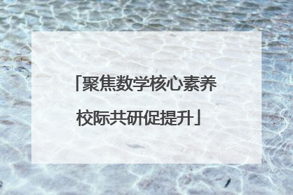 聚焦数学核心素养 校际共研促提升