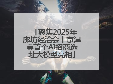 聚焦2025年廊坊经洽会丨京津冀首个AI招商选址大模型亮相