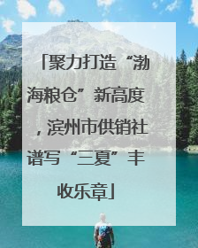 聚力打造“渤海粮仓”新高度，滨州市供销社谱写“三夏”丰收乐章