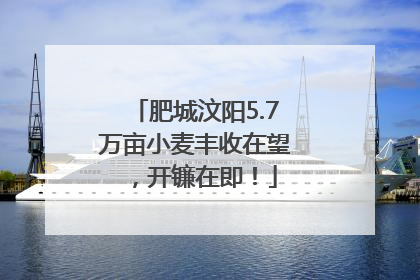 肥城汶阳5.7万亩小麦丰收在望，开镰在即！