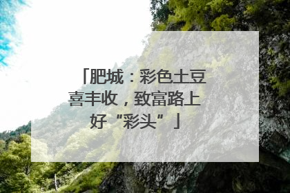 肥城：彩色土豆喜丰收，致富路上好“彩头”