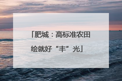 肥城：高标准农田绘就好“丰”光