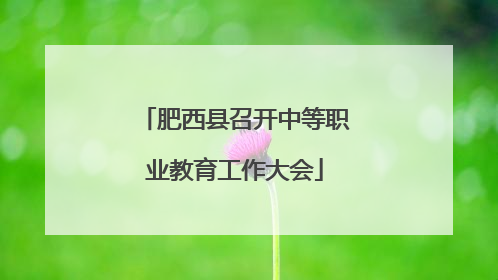 肥西县召开中等职业教育工作大会