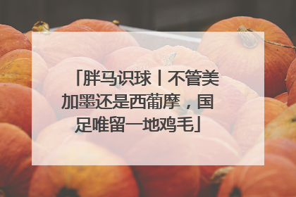 胖马识球丨不管美加墨还是西葡摩，国足唯留一地鸡毛