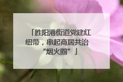 胜阳港街道党建红纽带，串起商居共治 “烟火圈”