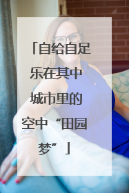 自给自足 乐在其中 城市里的空中“田园梦”