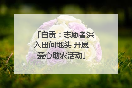 自贡：志愿者深入田间地头 开展爱心助农活动