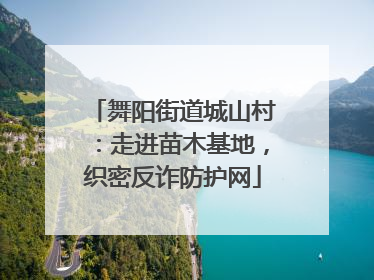 舞阳街道城山村：走进苗木基地，织密反诈防护网