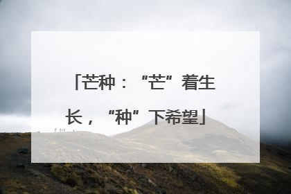 芒种：“芒”着生长，“种”下希望