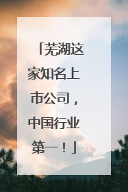 芜湖这家知名上市公司，中国行业第一！