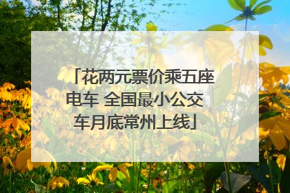 花两元票价乘五座电车 全国最小公交车月底常州上线