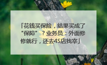 花钱买保险，结果买成了“保障”？业务员：外面修修就行，还去4S店找宰