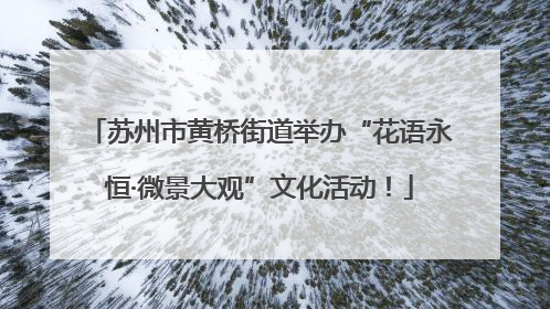 苏州市黄桥街道举办“花语永恒·微景大观”文化活动！