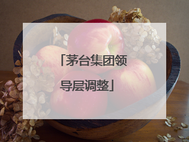 茅台集团领导层调整