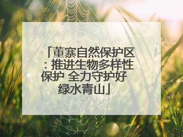 董寨自然保护区：推进生物多样性保护 全力守护好绿水青山