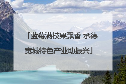 蓝莓满枝果飘香 承德宽城特色产业助振兴
