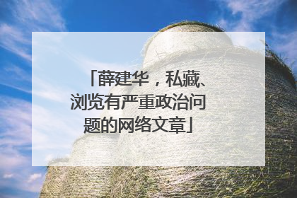 薛建华，私藏、浏览有严重政治问题的网络文章