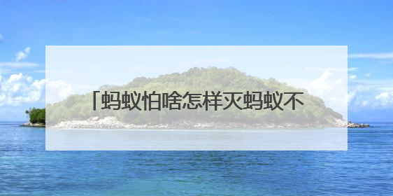 蚂蚁怕啥怎样灭蚂蚁不留痕？蚂蚁用什么药能彻底消灭？答案在这！