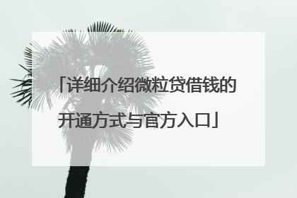 详细介绍微粒贷借钱的开通方式与官方入口