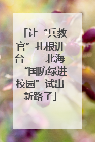 让“兵教官”扎根讲台——北海“国防绿进校园”试出新路子