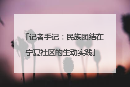 记者手记：民族团结在宁夏社区的生动实践