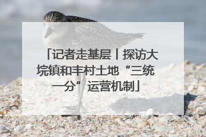 记者走基层丨探访大垸镇和丰村土地“三统一分”运营机制