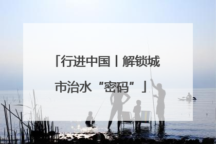 行进中国丨解锁城市治水“密码”