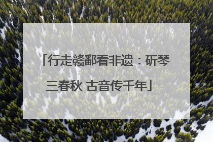 行走赣鄱看非遗：斫琴三春秋 古音传千年