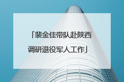 裴金佳带队赴陕西调研退役军人工作