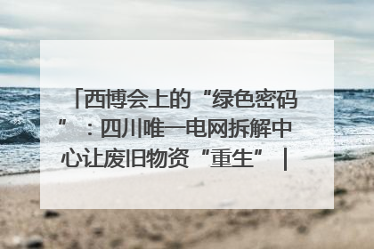 西博会上的“绿色密码”：四川唯一电网拆解中心让废旧物资“重生”｜西博寻“新”记