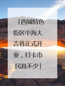 西城特色街区中海大吉巷正式开业，打卡市民真不少