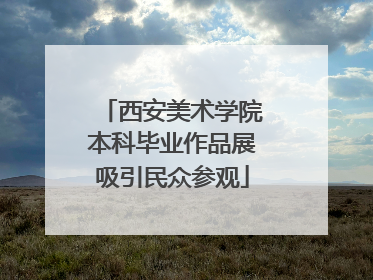 西安美术学院本科毕业作品展吸引民众参观