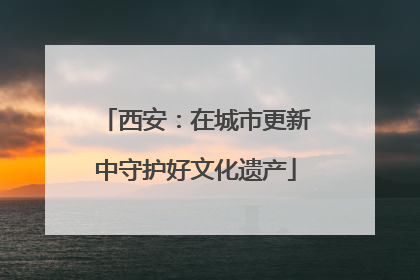 西安：在城市更新中守护好文化遗产