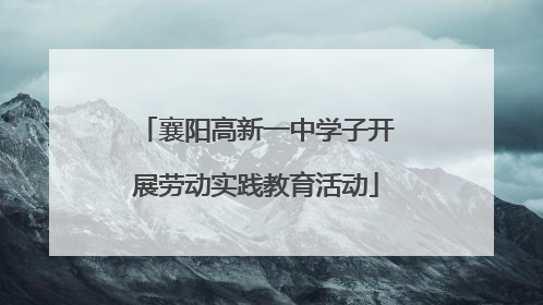 襄阳高新一中学子开展劳动实践教育活动