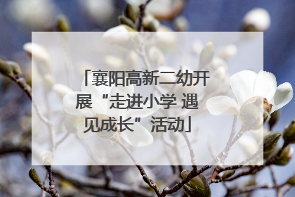 襄阳高新二幼开展“走进小学 遇见成长”活动