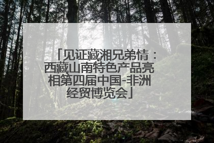 见证藏湘兄弟情：西藏山南特色产品亮相第四届中国-非洲经贸博览会