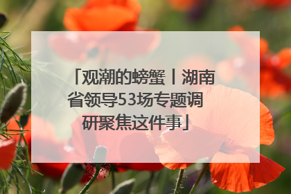 观潮的螃蟹丨湖南省领导53场专题调研聚焦这件事