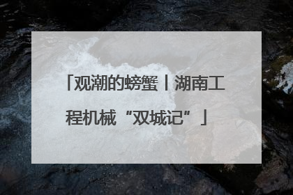 观潮的螃蟹丨湖南工程机械“双城记”