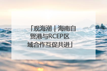 观海潮｜海南自贸港与RCEP区域合作互促共进
