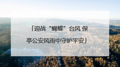 迎战“蝴蝶”台风 保亭公安风雨中守护平安
