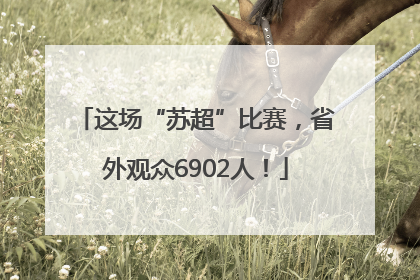 这场“苏超”比赛，省外观众6902人！