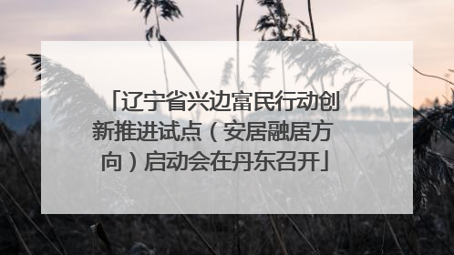 辽宁省兴边富民行动创新推进试点（安居融居方向）启动会在丹东召开