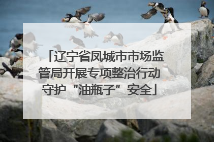 辽宁省凤城市市场监管局开展专项整治行动守护“油瓶子”安全