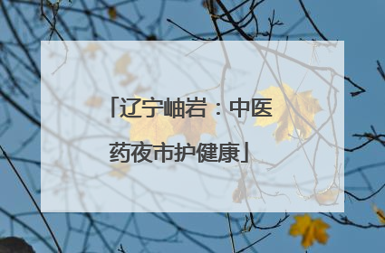 辽宁岫岩：中医药夜市护健康
