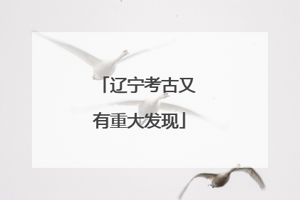 辽宁考古又有重大发现